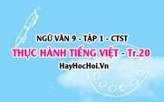 Soạn bài Thực hành Tiếng Việt trang 20 Ngữ văn lớp 9 tập 1 Chân trời sáng tạo